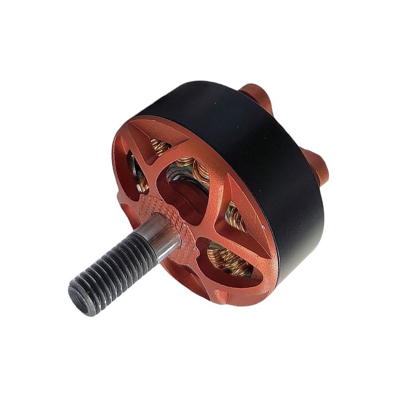 RC ড্রোন FPV-এর জন্য LN2207 1700KV 1900KV 2400KV ব্রাশলেস মোটর RC ড্রোন FPV-এর জন্য LN2207 1700KV 1900KV 2400KV ব্রাশলেস মোটর